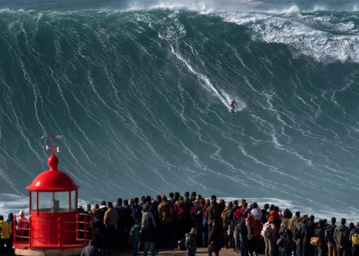 Casa Iroko - A Modern Villa, With Private Pool, In A Quiet Area *