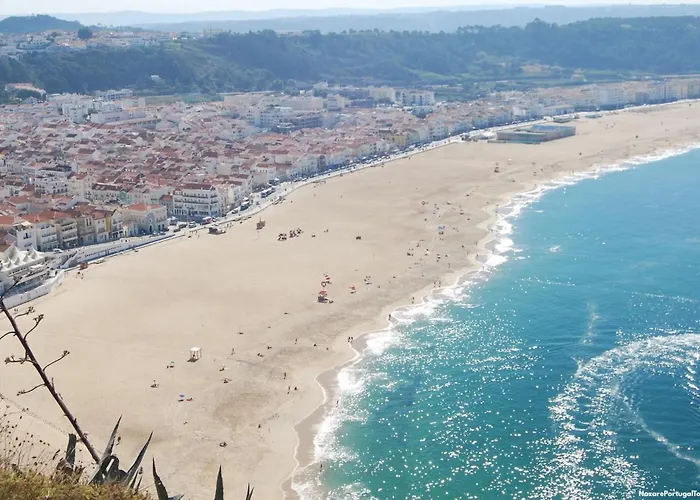 Casa Iroko - A Modern Villa, With Private Pool, In A Quiet Area Villa Nadadouro